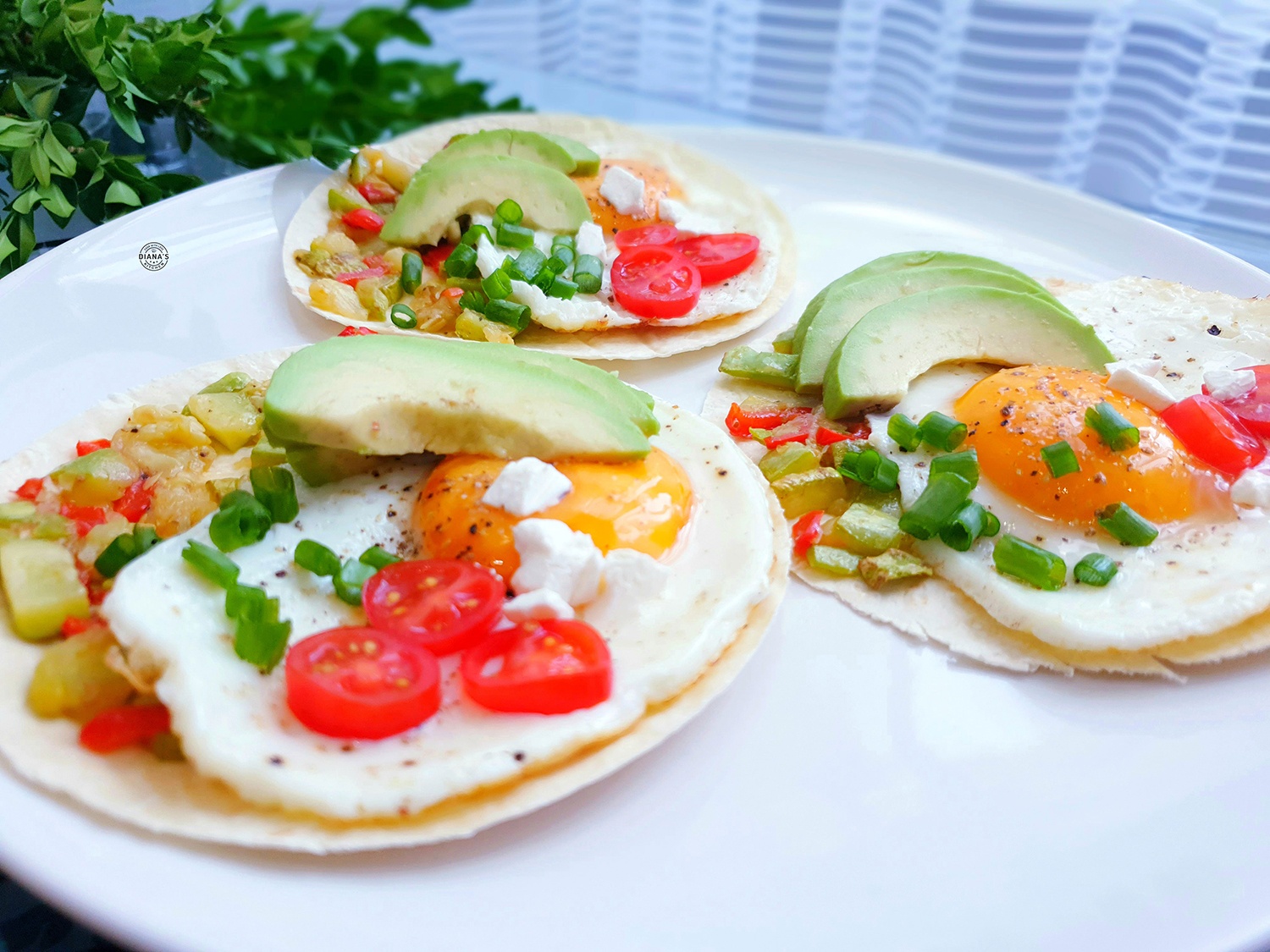 Tortilla cu oua si avocado Tortilla cu oua si avocado 3