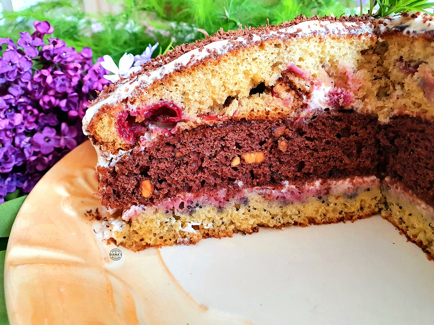 Tort pandispan cu nuci, visine si mac 3