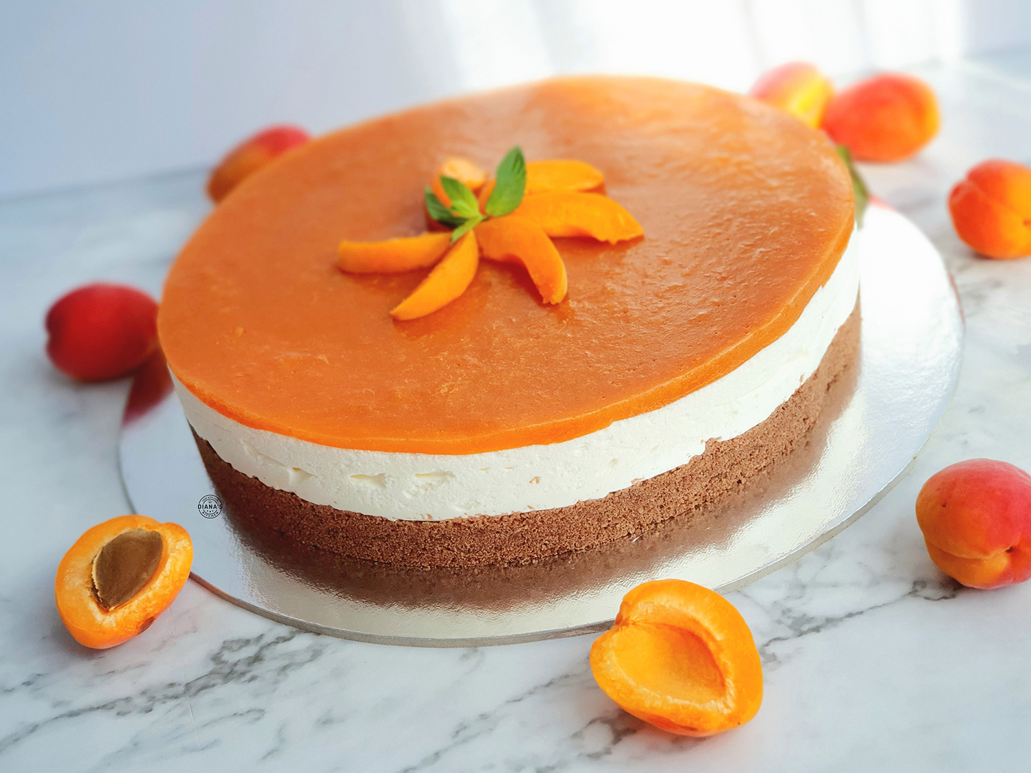 Cheesecake cu caise